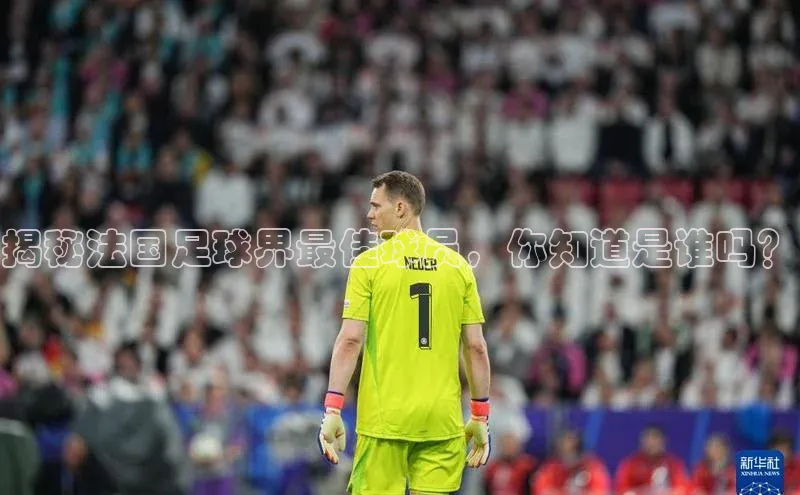 新宝gg一键登录元隆雅图揭秘法国足球界最佳球员，你知道是谁吗？