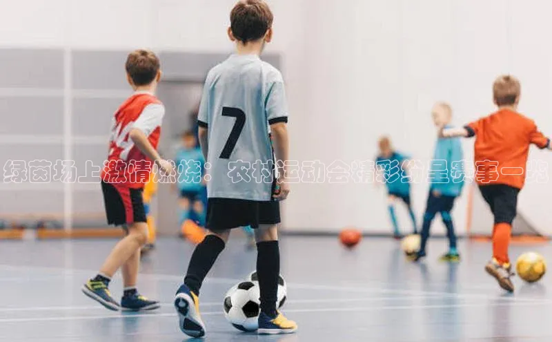 新宝gg创造奇迹登录注册玩法百度数据开放平台绿茵场上激情燃烧：农村运动会精彩纷呈赛事一览