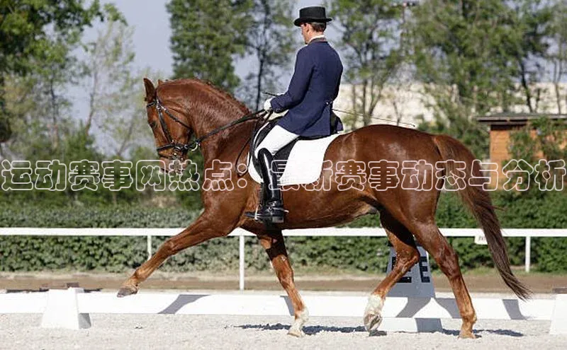 新宝gg开户登录观星盘运动赛事网热点：最新赛事动态与分析