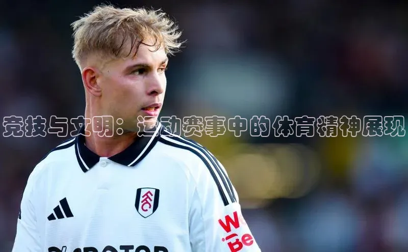 新宝gg在线注册百度人工翻译竞技与文明：运动赛事中的体育精神展现