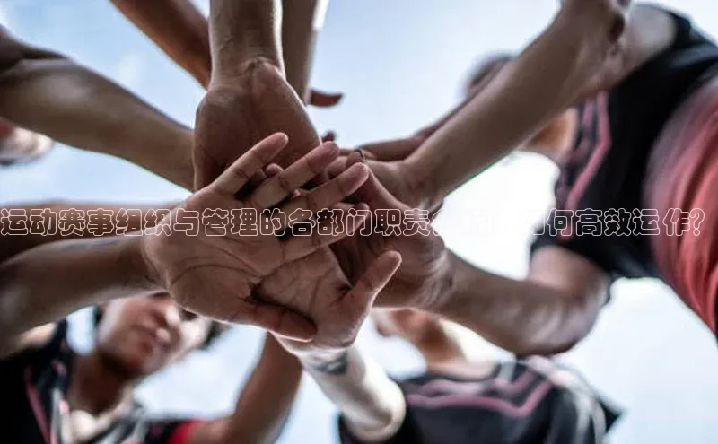 运动赛事组织与管理的各部门职责分析：如何高效运作？