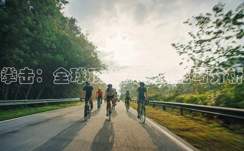 拳击：全球顶尖赛事概览与分析