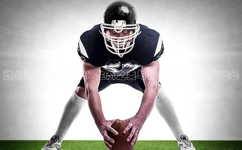 遵义钓鱼运动赛事：生态之美与乐趣之巅的年度盛宴