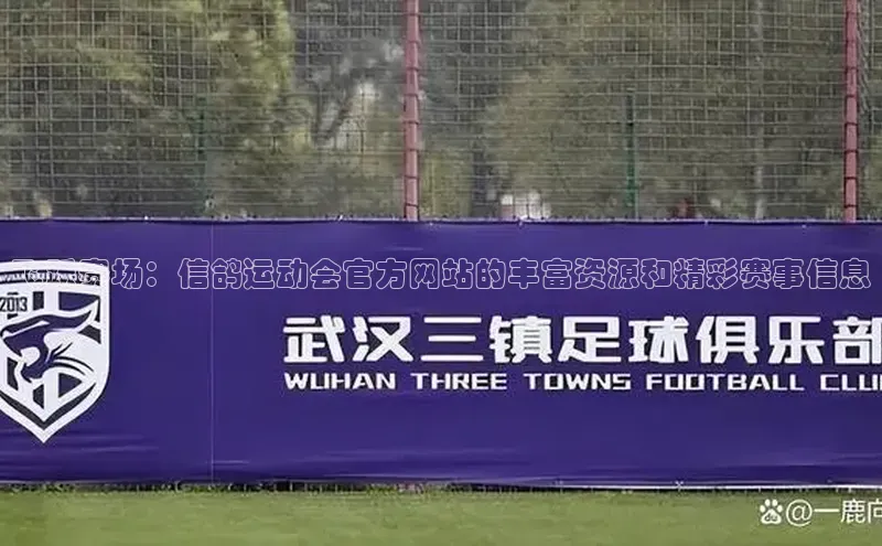 飞跃赛场：信鸽运动会官方网站的丰富资源和精彩赛事信息