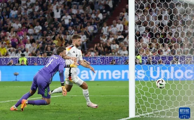 体育竞技的公平之道：探讨运动规则的制定与执行