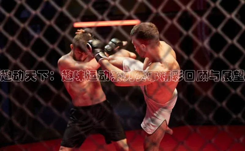 趣动天下：趣味运动系列赛事精彩回顾与展望