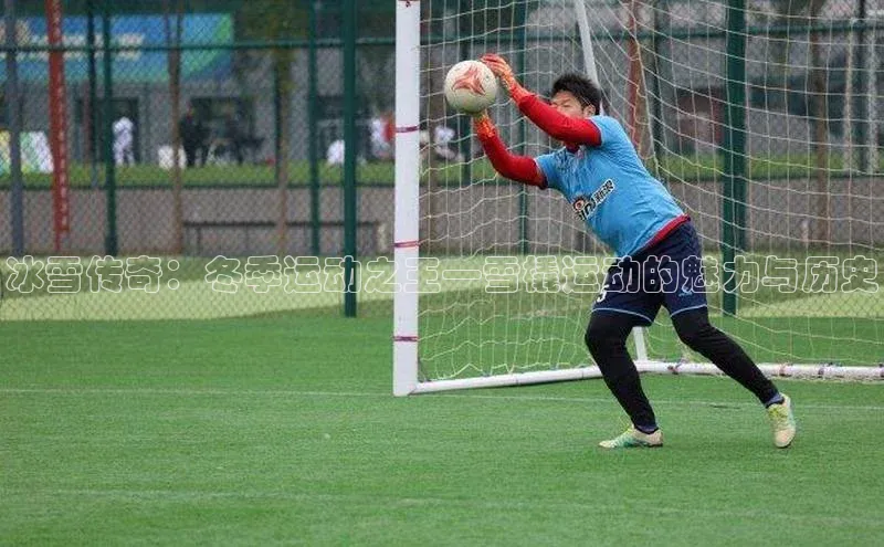 冰雪传奇：冬季运动之王—雪橇运动的魅力与历史