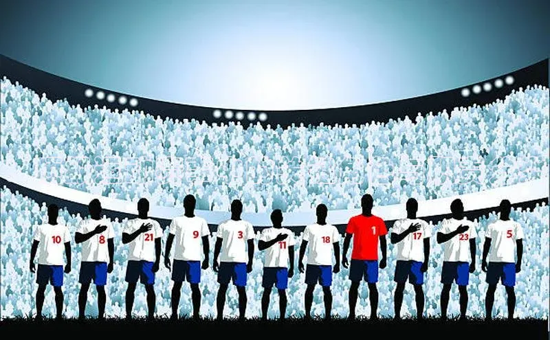 ：顶级运动赛事中的关键角色与职责分类