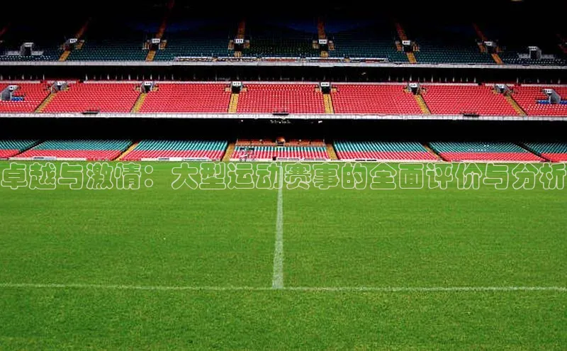 卓越与激情：大型运动赛事的全面评价与分析