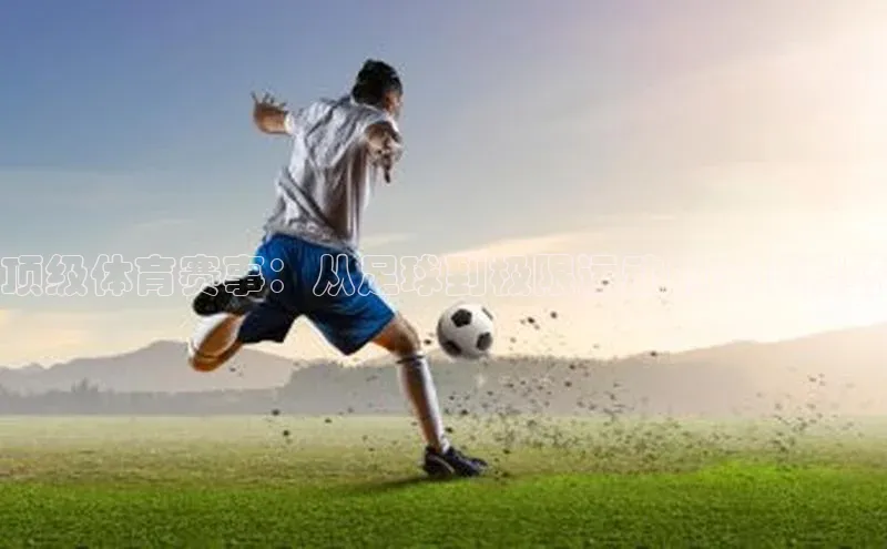 新宝gg一创造奇迹登录