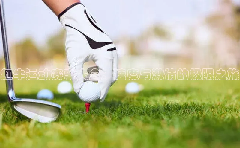 gg网站入口官网