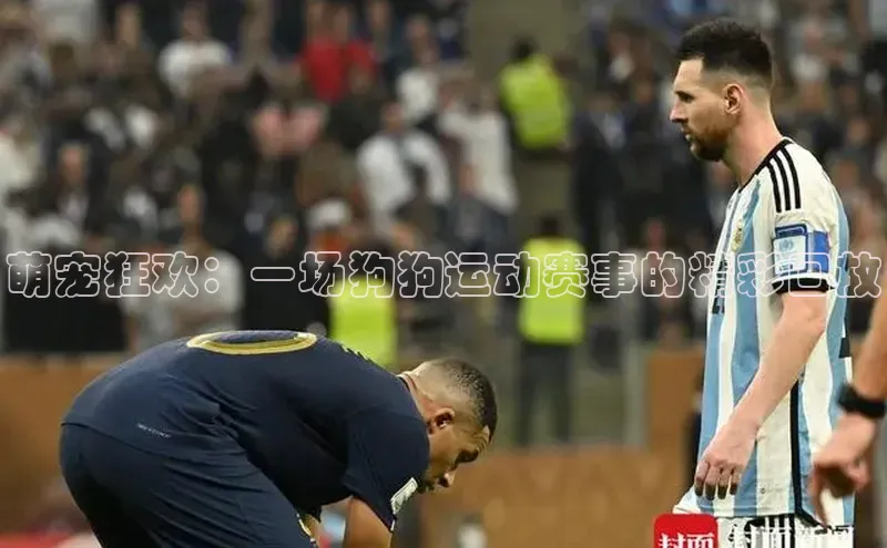 新宝gg注册登录入口