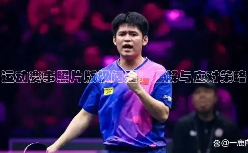 新宝gg平台注册